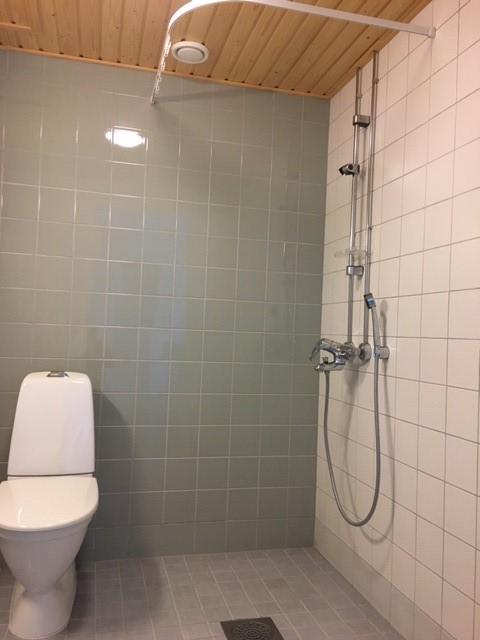 278631