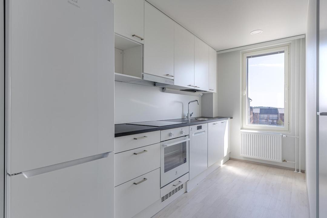 Maisemamaalauksenkatu 12 F 110