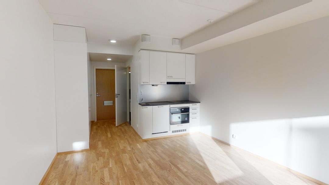 Maisemamaalauksenkatu 4 E 102