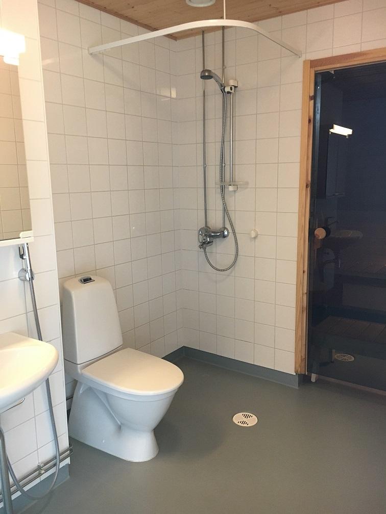 262876